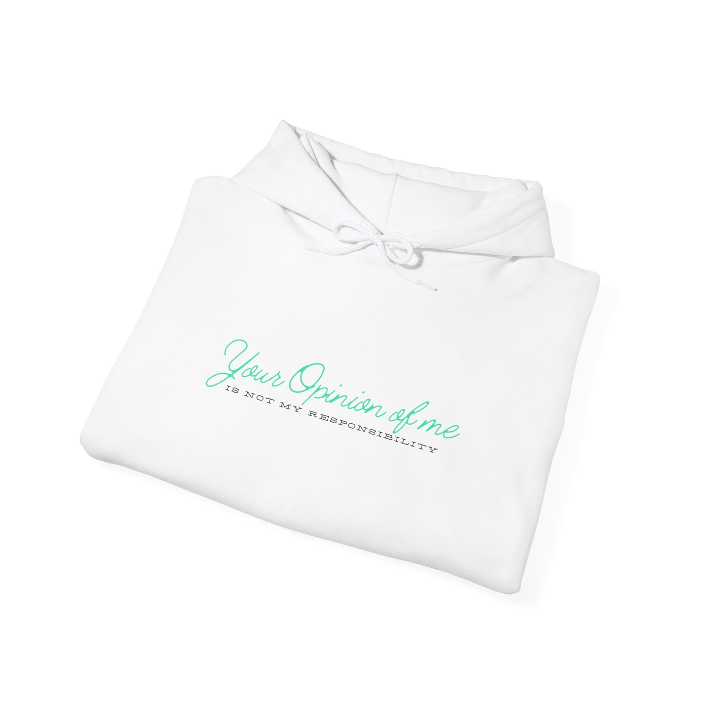 Self-Love Hoodie | Embrace your individuality | Your Opinion of Me, Is Not My Responsibility | Hoodie Season