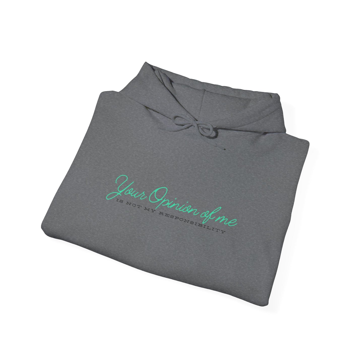 Self-Love Hoodie | Embrace your individuality | Your Opinion of Me, Is Not My Responsibility | Hoodie Season