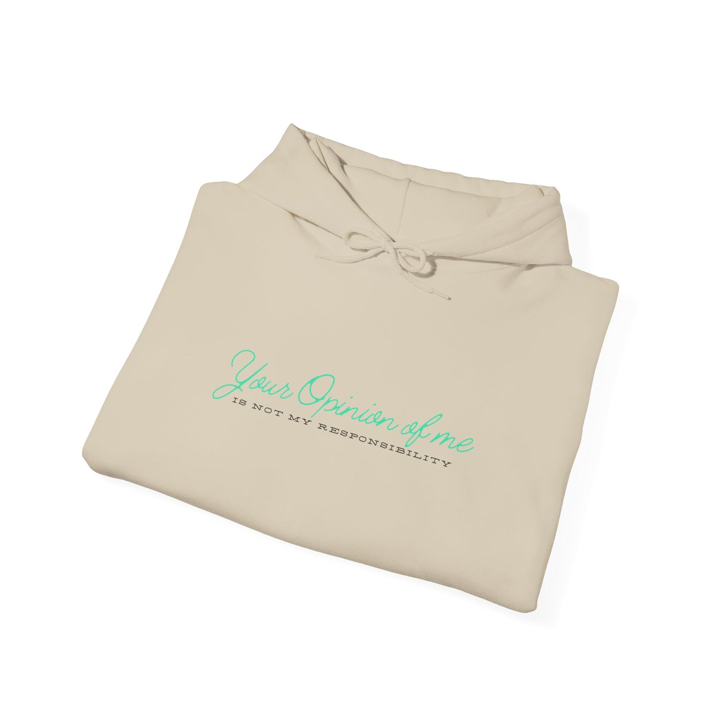 Self-Love Hoodie | Embrace your individuality | Your Opinion of Me, Is Not My Responsibility | Hoodie Season