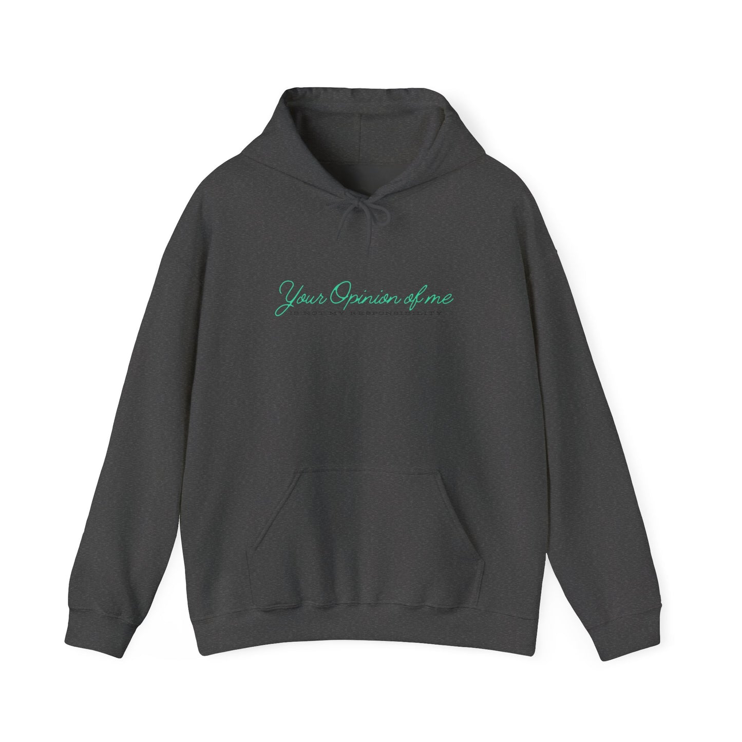 Self-Love Hoodie | Embrace your individuality | Your Opinion of Me, Is Not My Responsibility | Hoodie Season