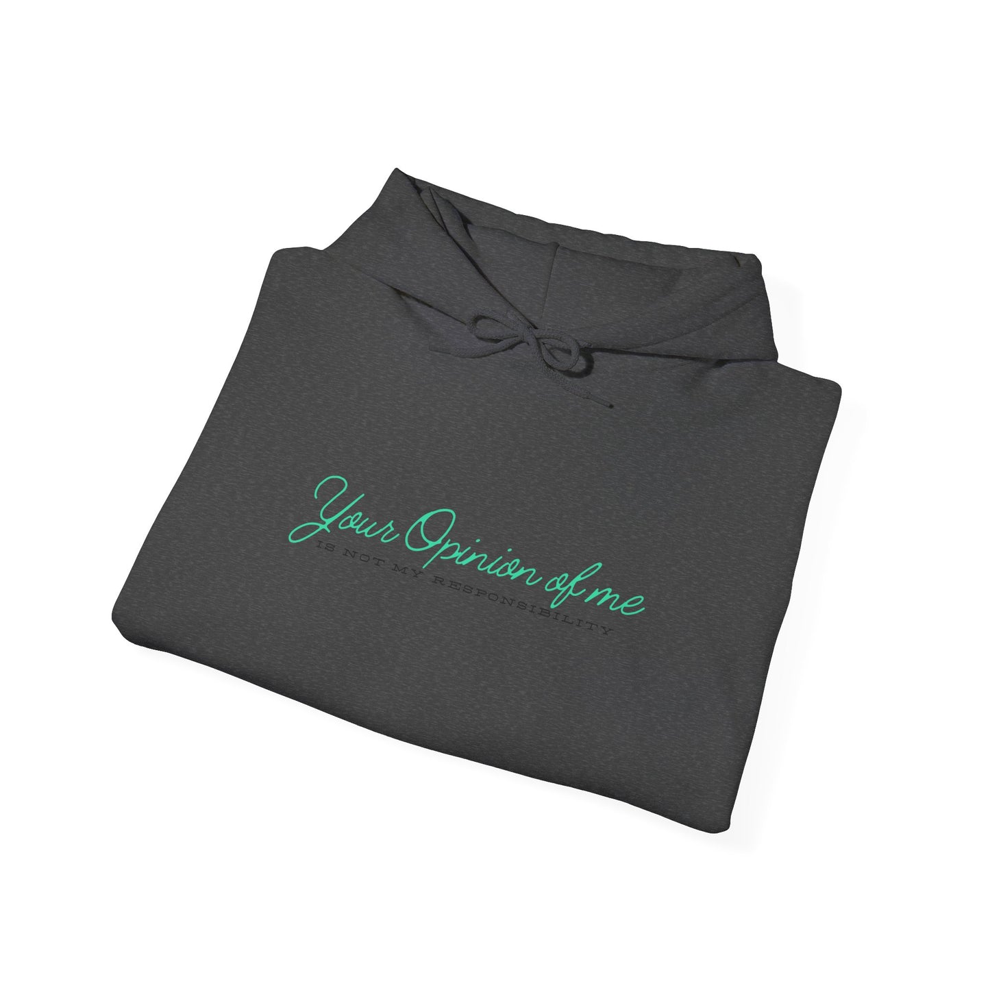 Self-Love Hoodie | Embrace your individuality | Your Opinion of Me, Is Not My Responsibility | Hoodie Season