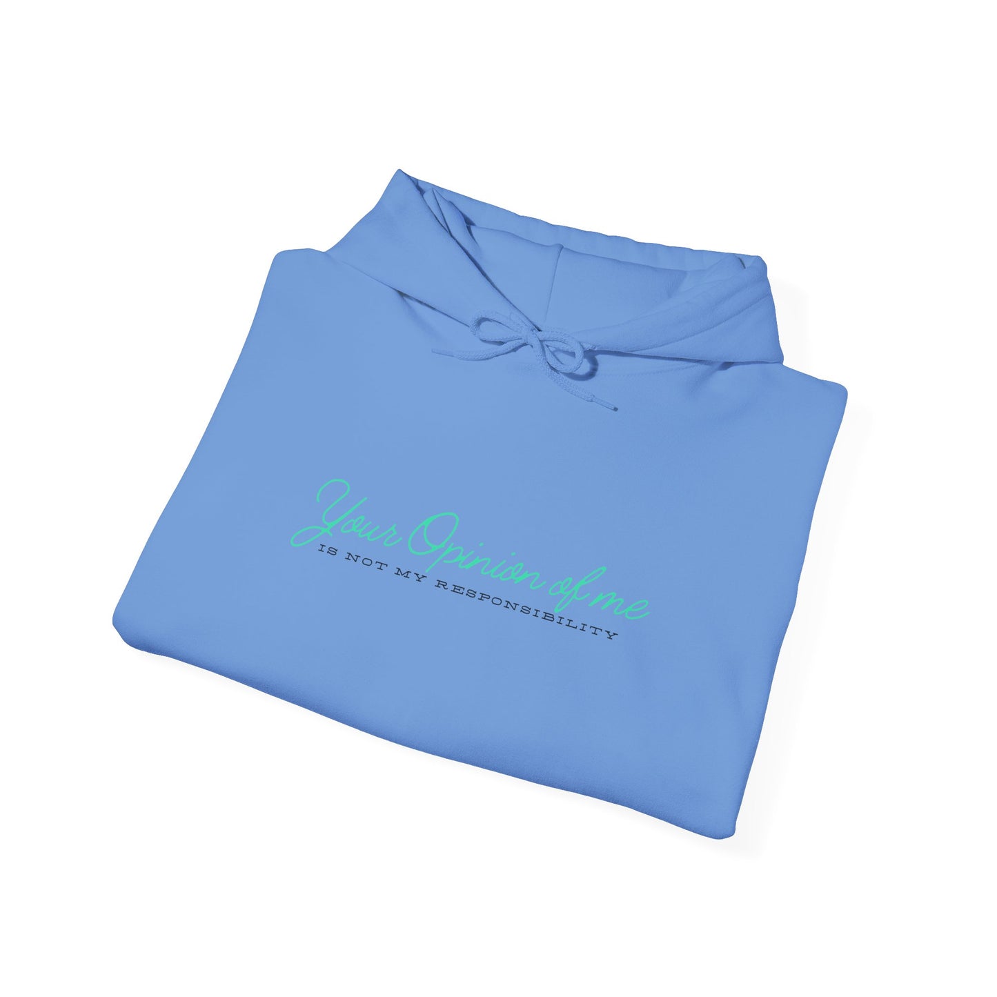 Self-Love Hoodie | Embrace your individuality | Your Opinion of Me, Is Not My Responsibility | Hoodie Season