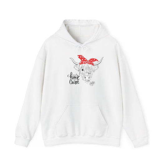 Sassy Highland Cow - Messy Hair, Don't Care Hoodie | Farmhouse Sweatshirt, Cozy Unisex Hooded Sweatshirt
