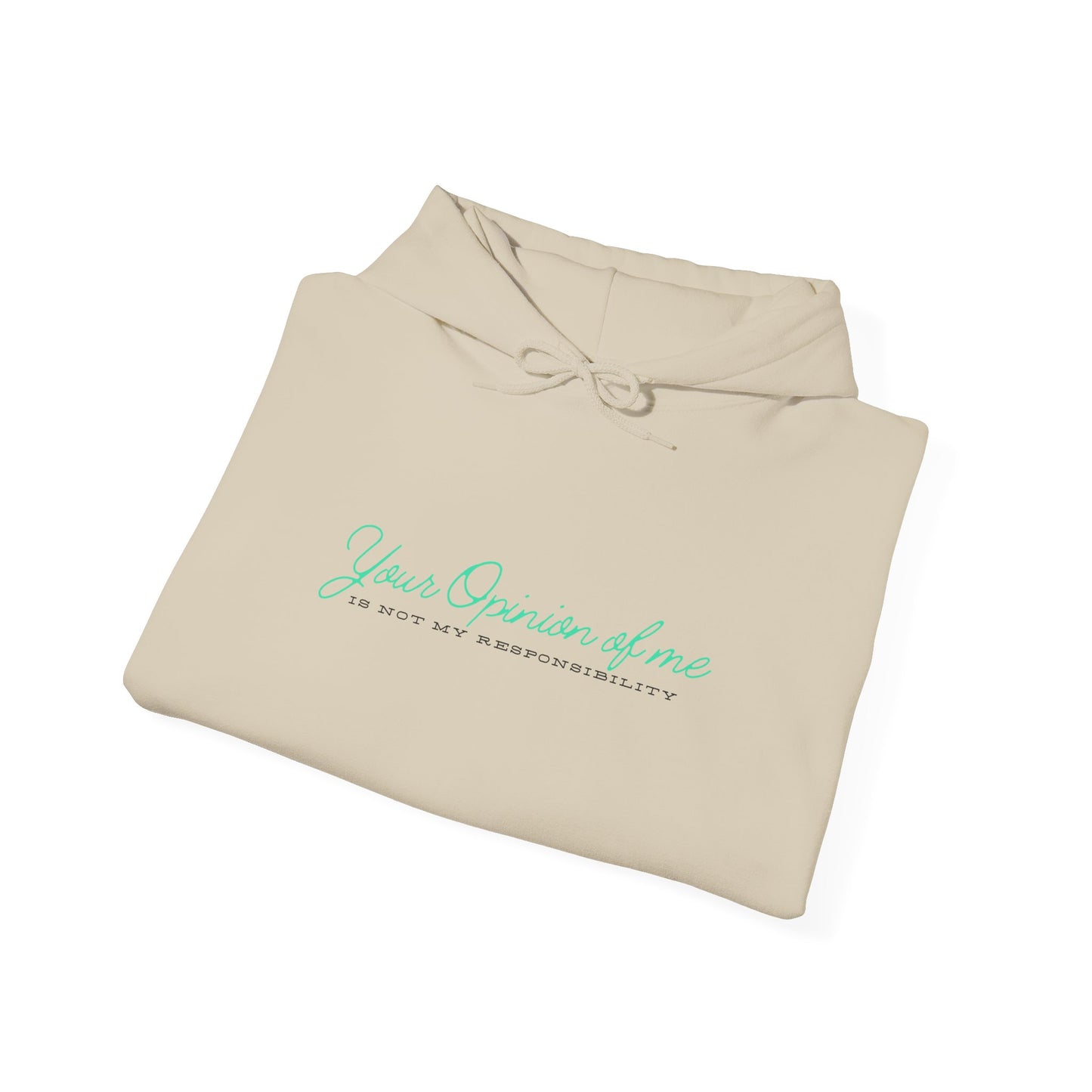 Self-Love Hoodie | Embrace your individuality | Your Opinion of Me, Is Not My Responsibility | Hoodie Season