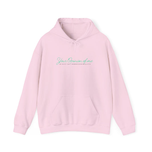 Self-Love Hoodie | Embrace your individuality | Your Opinion of Me, Is Not My Responsibility | Hoodie Season