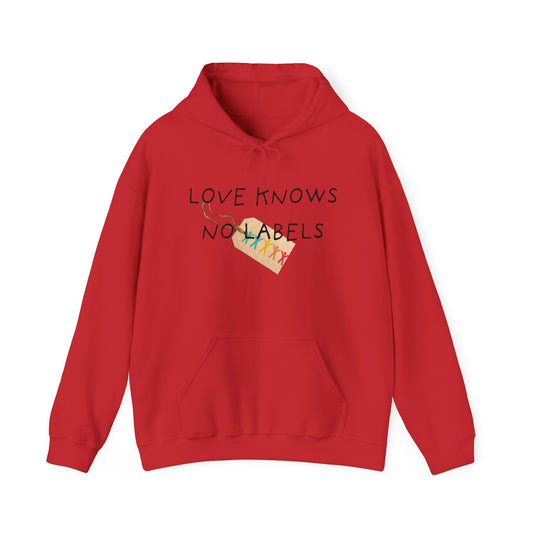 Love knows no labels | Hoodie | Autism Awareness | Diversity and Inclusivity