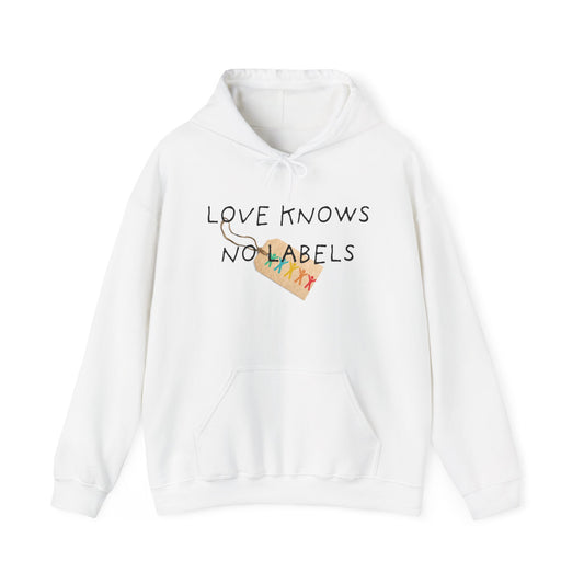 Love knows no labels | Hoodie | Autism Awareness | Diversity and Inclusivity