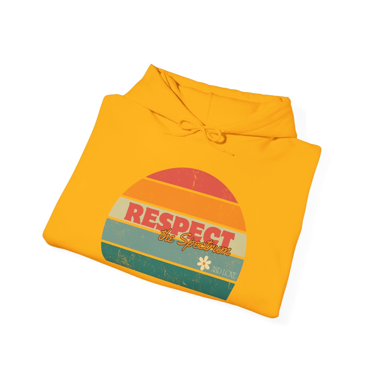 Respect the Spectrum | Hooded Sweatshirt | Autism Awareness | Diversity and Inclusivity