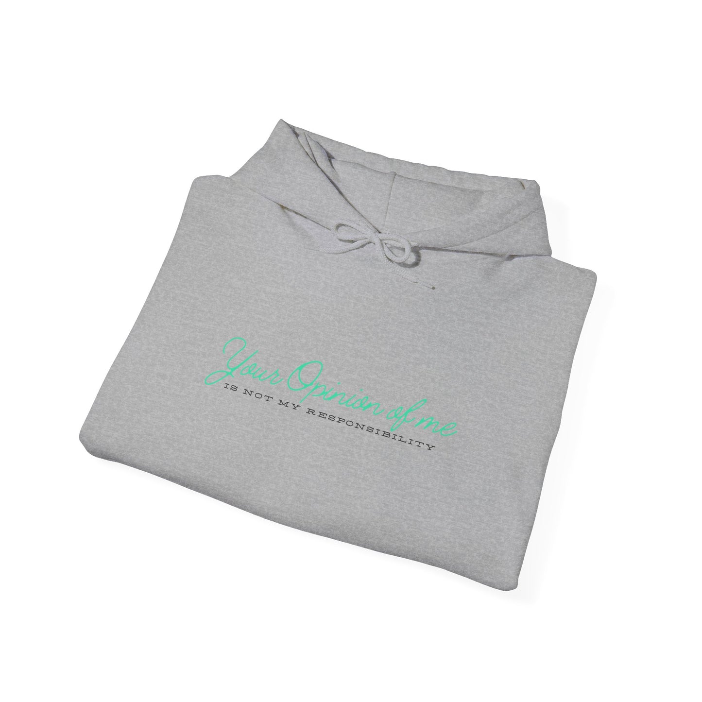 Self-Love Hoodie | Embrace your individuality | Your Opinion of Me, Is Not My Responsibility | Hoodie Season